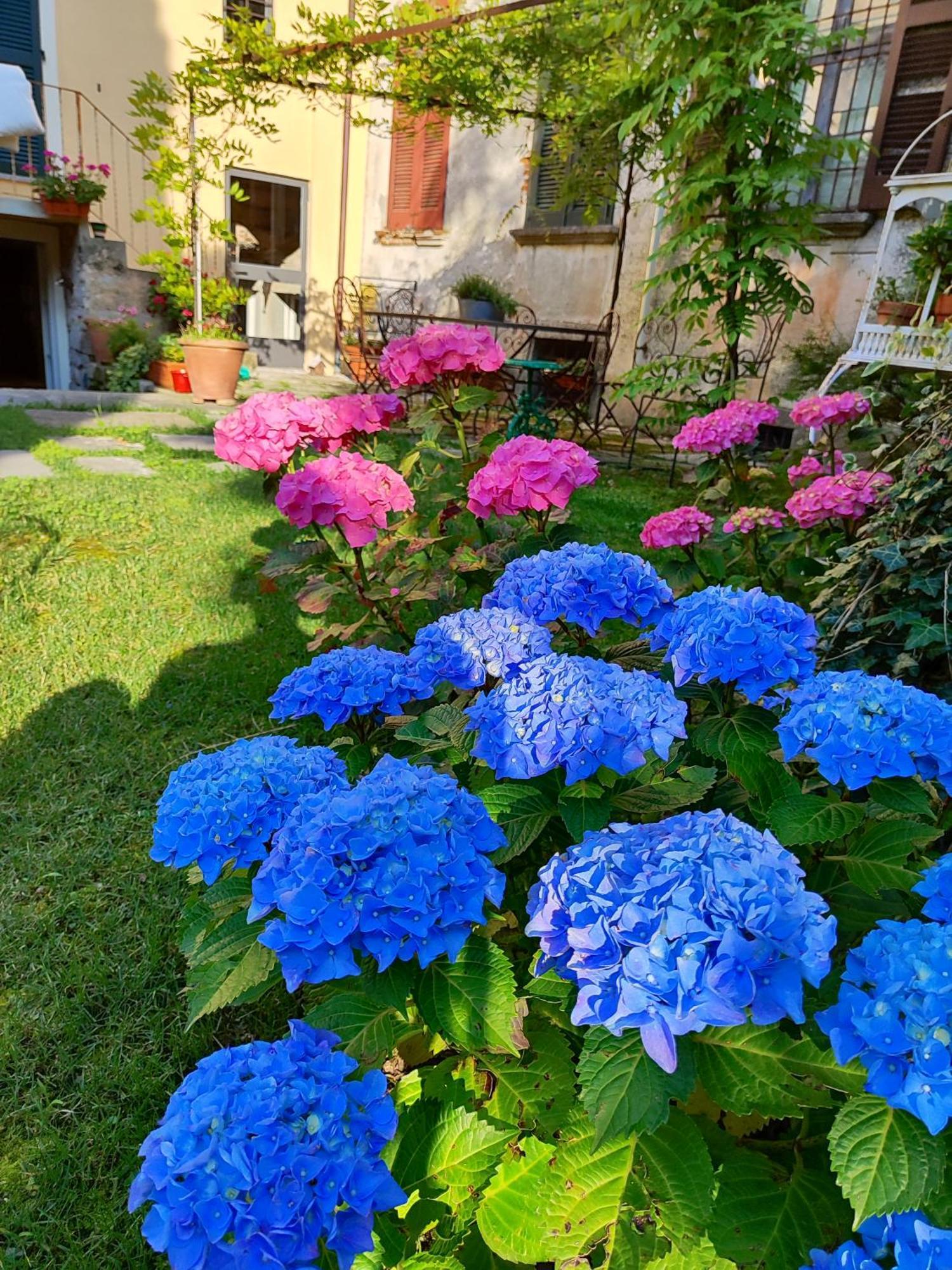 Bed and Breakfast Casa Lumaca Тремеццо Экстерьер фото